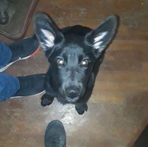 Meet your Posher, Garrett